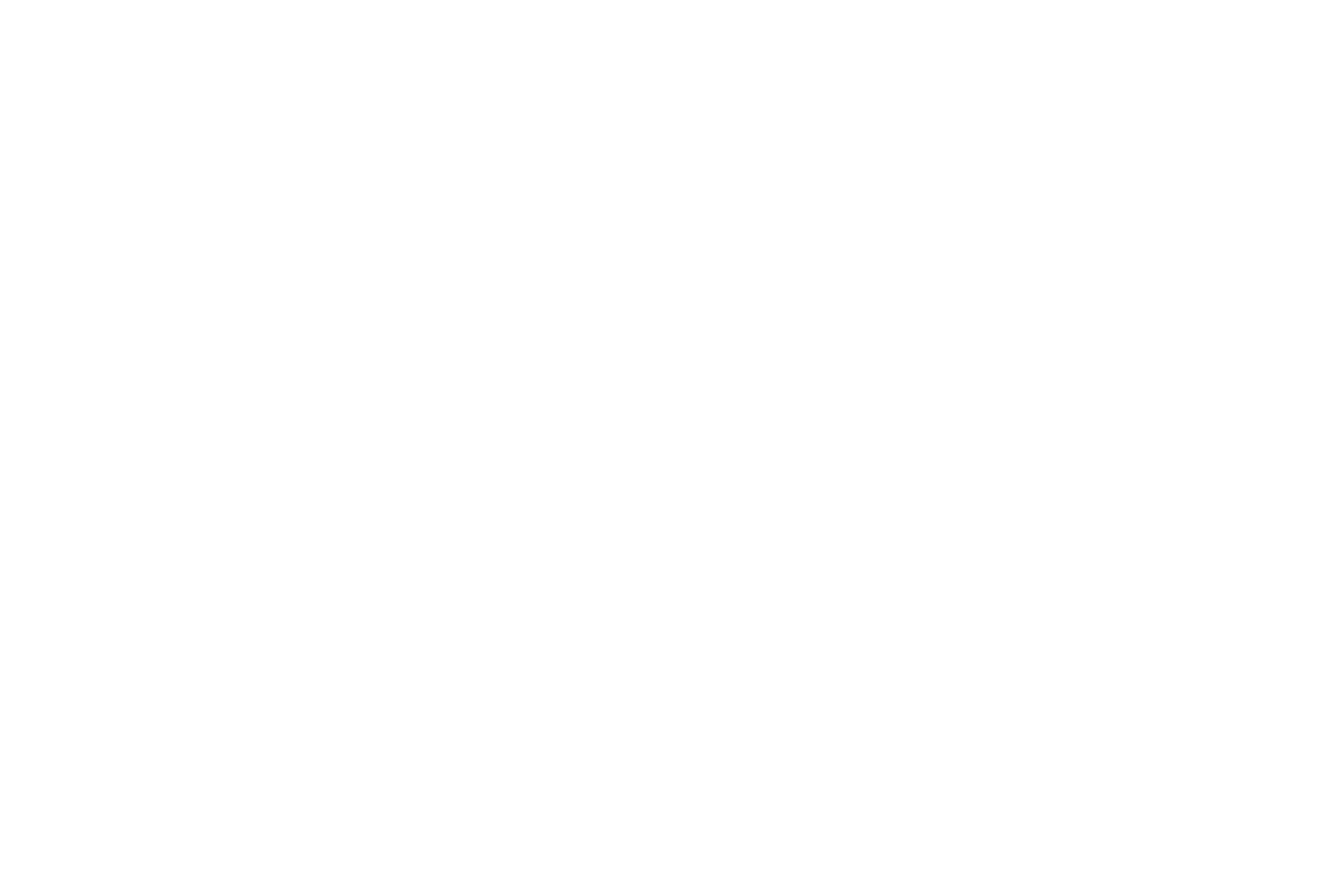 אוורסט לוגו